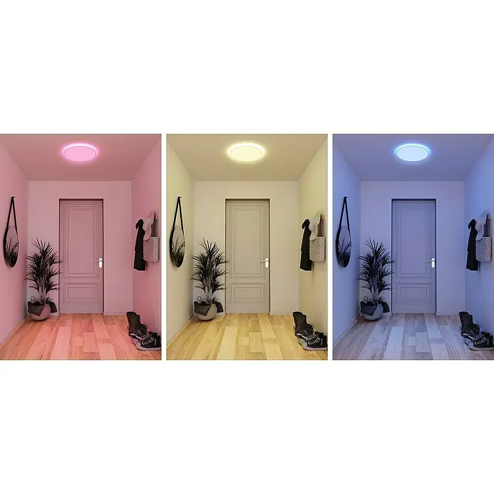 Müller-Licht Tint LED-Panel rund Loris - 30 W, Ø x H: 450 mm x 5,1 cm, Weiß, Warmweiß - Ein Hallenflur mit einer modernen, runden LED-Deckenleuchte, die in verschiedenen Farben leuchtet. Die Leuchte sorgt für eine stilvolle Beleuchtung.