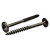 Profi Depot Tellerkopfschraube (Ø x L: 8 x 80 mm, TX für TORX-Antriebe, 25 Stk., Edelstahl) | BAUHAUS