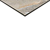 Feinsteinzeugfliese Etienne (60 x 60 cm, Grau, Poliert)