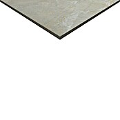 Feinsteinzeugfliese Premium Marble (60 x 60 cm, Beige/Braun, Poliert)