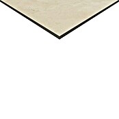 Feinsteinzeugfliese Premium Marble (80 x 80 cm, Beige, Poliert)