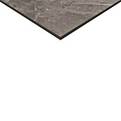 Feinsteinzeugfliese Premium Marble (80 x 80 cm, Grau, Poliert)