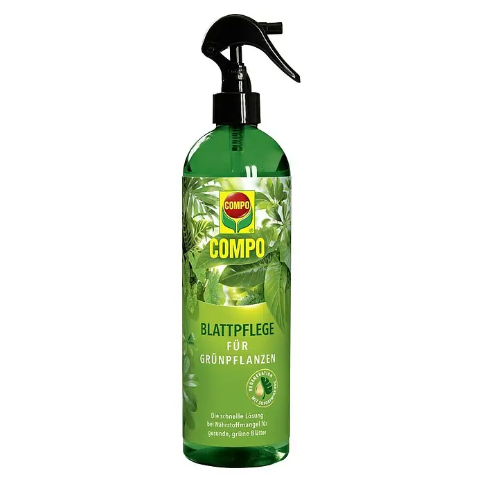 Compo Blattpflege - Geeignet für: Grünpflanzen, 500 ml - Compo Blattpflege für Grünpflanzen im grünen Sprühbehälter mit schwarzem Sprühkopf.