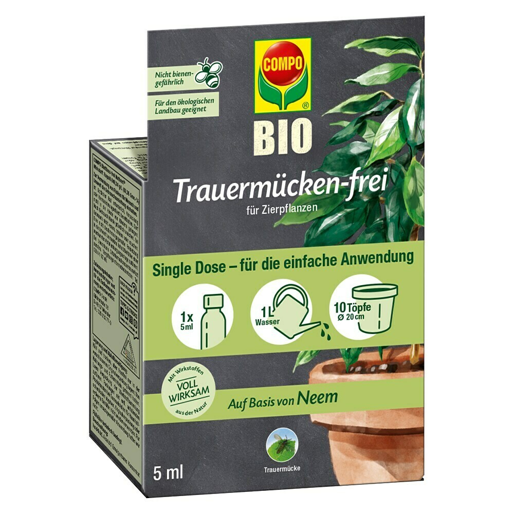 orchidee weie blten 6 - 7 rispiges