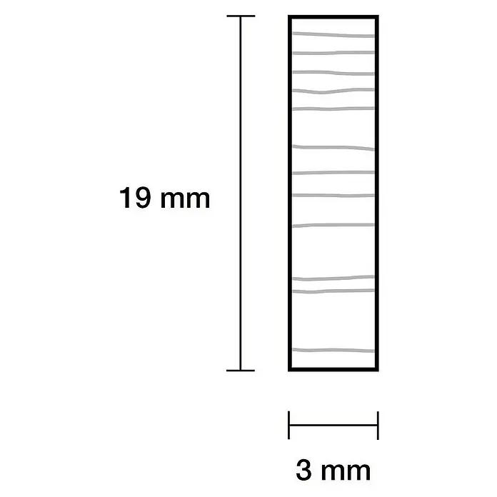 Rechteckleiste - 100 cm x 19 mm x 3 mm, Buche - Abbildung einer 19 mm langen und 3 mm breiten Holzleiste mit feinen Jahresringen. Sie ist ein Detail für Handwerker und Modellbauer.