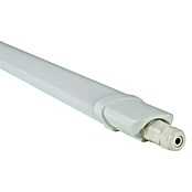 Ritter Leuchten LED-Feuchtraum-Lichtleiste (24 W, Länge: 1.530 mm, Neutralweiß, IP65)