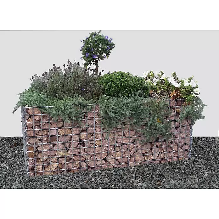 Gabiona Hochbeet - 120 x 50 x 50 cm, Maschenweite 5 x 5, Metall - Gabionen-Pflanzgefäß mit Metallgitter und rotbraunen Steinen, bepflanzt mit verschiedenen Grünpflanzen, Lavendel sowie lila und weiß blühenden Pflanzen.