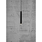 Nordlux Omari Lámpara colgante LED redonda (3,3 W, Ø x Al: 3 x 20 cm, Negro) | BAUHAUS
