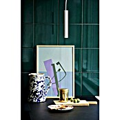 Nordlux Omari Lámpara colgante LED redonda (3,3 W, Ø x Al: 3 x 20 cm, Blanco) | BAUHAUS