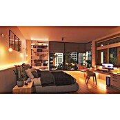 Nanoleaf Smart-LED-Lampen Set Essentials E27 3er Pack (E27, Dimmbarkeit: Dimmbar, RGBW, 806 lm, 9 W, 3 Stk.) | BAUHAUS