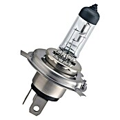 Philips Halogeenkoplamp (Levensduur: 3.000 u, 12 V) | BAUHAUS