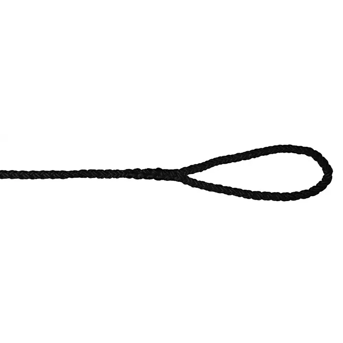 Leine 8-Plait mit Auge - Nylon, Länge: 6 m, Durchmesser: 12 mm, Schwarz - Schwarzes Seil mit einer Schlaufe am Ende, ideal für verschiedene Befestigungs- und Sicherungszwecke. Robust und zuverlässig.