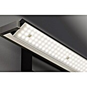 Fischer & Honsel LED-Wandleuchte Pare TW (20,1 W, L x B x H: 40 x 11 x 10 cm, Silber, Warmweiß) | BAUHAUS