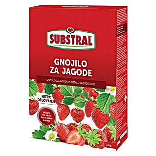 Substral Gnojivo za bobičasto voće i jagode (1 kg)