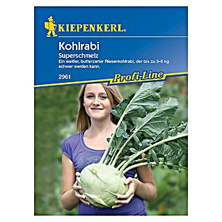 Kiepenkerl Profi-Line Gemüsesamen Kohlrabi Superschmelz (Brassica oleracea var. gongylodes, Erntezeit: August)