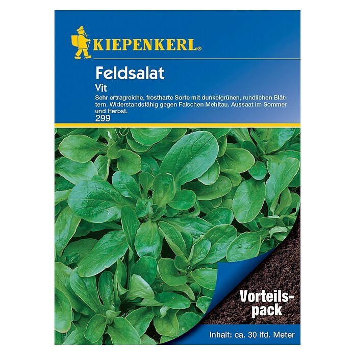 Kiepenkerl Salatsamen Feldsalat (Valerianella locusta, Erntezeit: September) | BAUHAUS