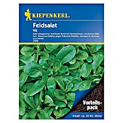 Kiepenkerl Salatsamen Feldsalat (Valerianella locusta, Erntezeit: September) | BAUHAUS