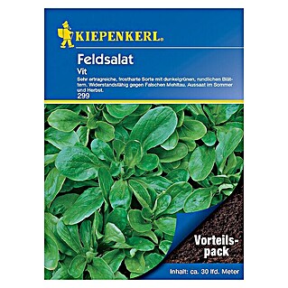 Kiepenkerl Salatsamen Feldsalat (Valerianella locusta, Erntezeit: September - März)