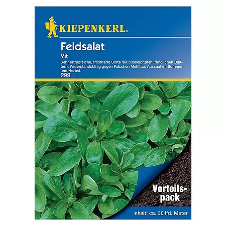 Kiepenkerl  Salatsamen Feldsalat