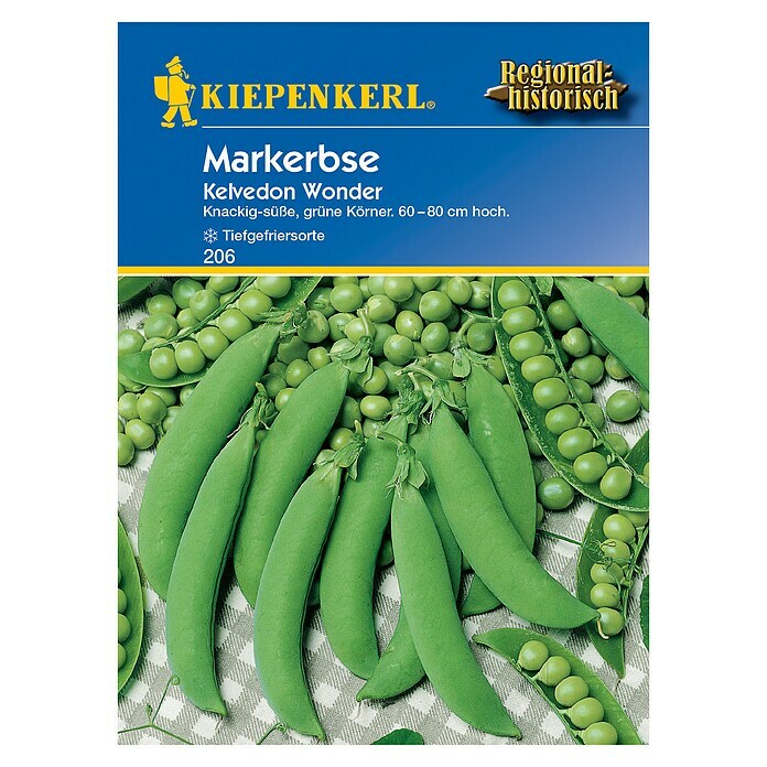 Kiepenkerl Gemüsesamen Markerbse Kelvedon Wonder (Pisum sativum, Erntezeit: Juni)