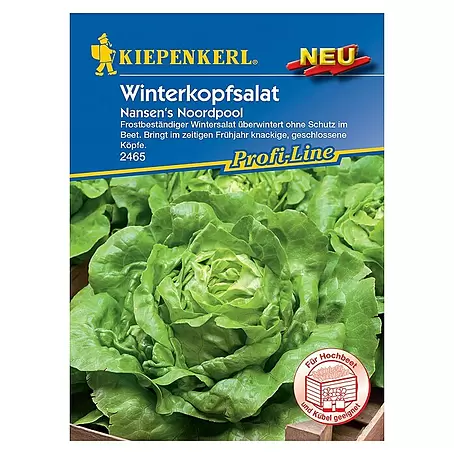 Kiepenkerl Profi-Line Salatsamen Winterkopfsalat