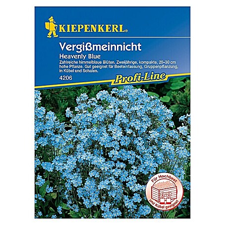 Kiepenkerl Profi-Line Blumensamen Vergissmeinnicht (Myosotis sylvatica)