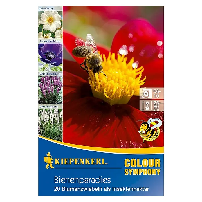 Kiepenkerl Sommerblumenzwiebel-Mix - Verschiedene sorten, 20 Stk. - Produktbild der "Colour Symphony" Blumenzwiebelmischung von Kiepenkerl, mit Fokus auf bienenfreundliche Sorten.