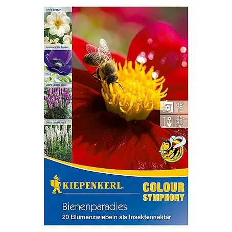 Kiepenkerl  Sommerblumenzwiebel-Mix