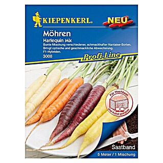 Kiepenkerl Profi-Line Gemüsesamen Möhre (Harlequin Mix)
