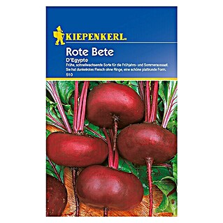 Kiepenkerl Gemüsesamen Rote Bete (Beta vulgaris var. vulgaris, Erntezeit: Juli)