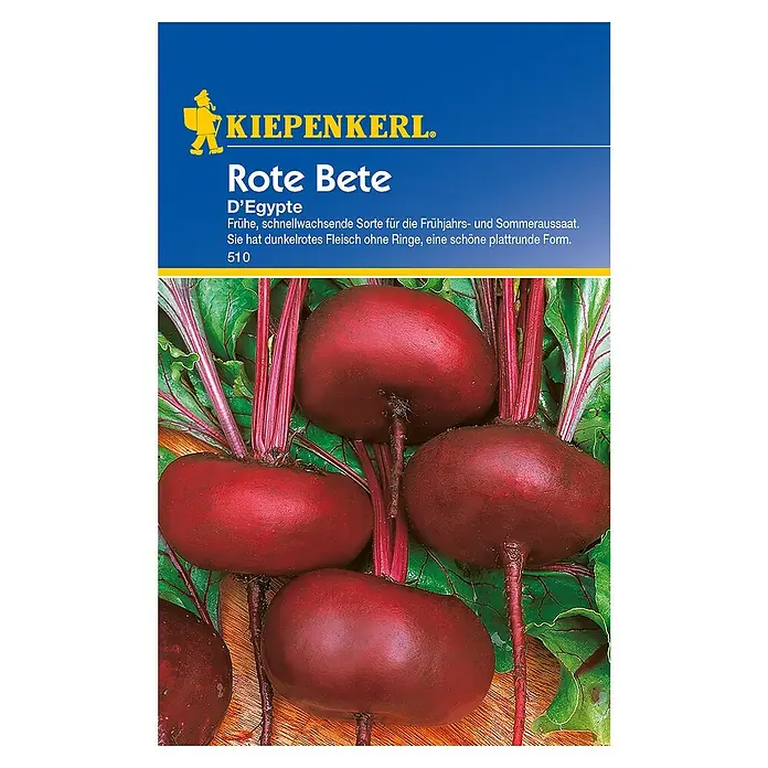 Kiepenkerl Gemüsesamen Rote BeteBeta vulgaris var. vulgaris, Erntezeit: Juli - Rote Bete 'D'Egypte' Samenpackung von Kiepenkerl. Frühreife Sorte für Frühjahrs- und Sommeraussaat mit dunkelrotem Fleisch und plattrunder Form.