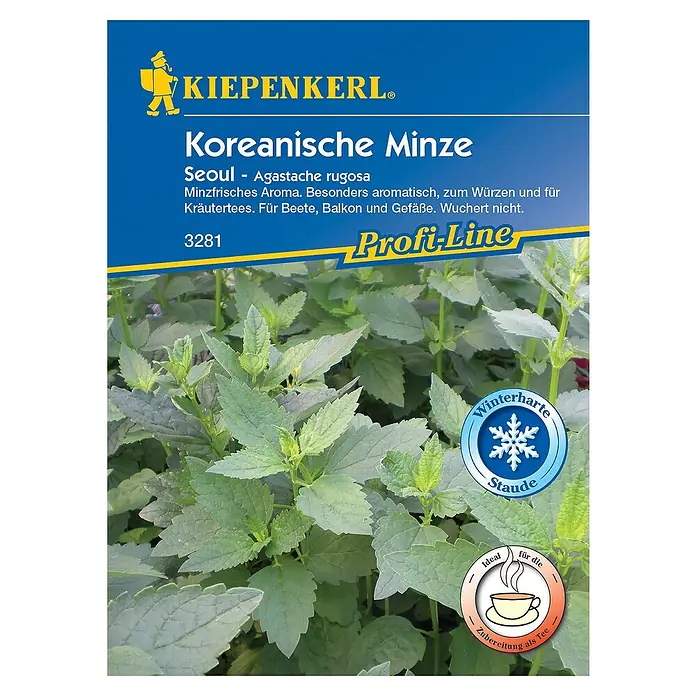 Kiepenkerl Kräutersamen Koreanische Minze - Agastache rugosa, Saatzeit: Mai, Erntezeit: Juli - Abbildung der Samenpackung für Koreanische Minze, eine aromatische Pflanze der Marke Kiepenkerl, ideal für Kräutertee und Garten.