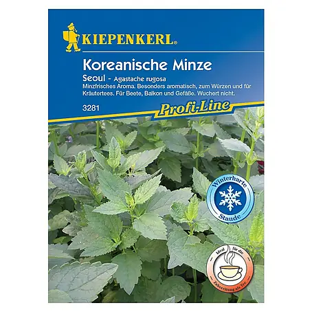 Kiepenkerl  Kräutersamen Koreanische Minze