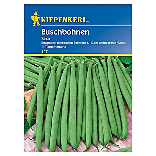 Kiepenkerl Gemüsesamen Buschbohne (Saxa, Phaseolus vulgaris var. nanus, Erntezeit: Juli)