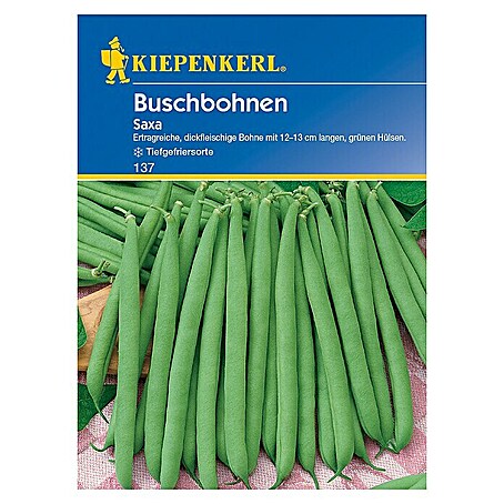Kiepenkerl Gemüsesamen Buschbohne (Saxa, Phaseolus vulgaris var. nanus, Erntezeit: Juli)