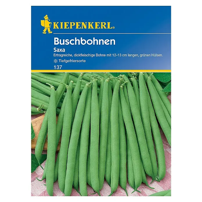Kiepenkerl Gemüsesamen Buschbohne - Saxa, Phaseolus vulgaris var. nanus, Erntezeit: Juli - Abbildung der Samenpackung Buschbohnen "Saxa" der Marke Kiepenkerl. Ertragreiche Sorte mit dicken, fleischigen Hülsen, ideal zum Einfrieren.