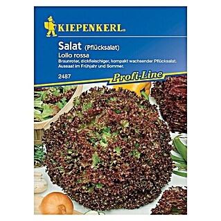 Kiepenkerl Profi-Line Salatsamen Pflücksalat rossa (Lactuca sativa var. crispa, Erntezeit: Mai - Oktober)