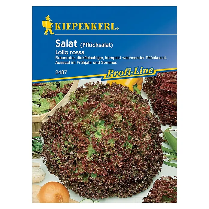 Kiepenkerl Profi-Line Salatsamen Pflücksalat rossa - Lactuca sativa var. crispa, Erntezeit: Mai - Abbildung einer Samenpackung für 'Lollo Rossa' Salat, eine braunrote, dickfleischige und kompakt wachsende Sorte, ideal für den Anbau im Frühjahr und Sommer.