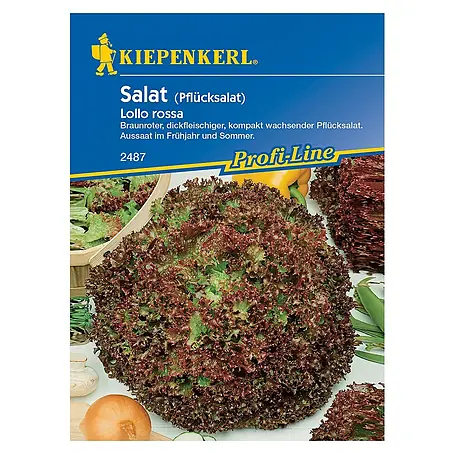 Kiepenkerl Profi-Line Salatsamen Pflücksalat rossa