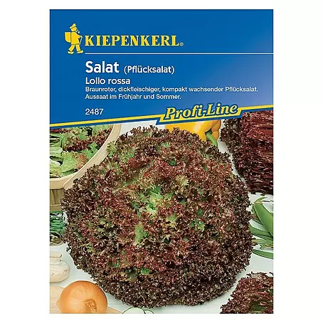 Kiepenkerl Profi-Line Salatsamen Pflücksalat rossa