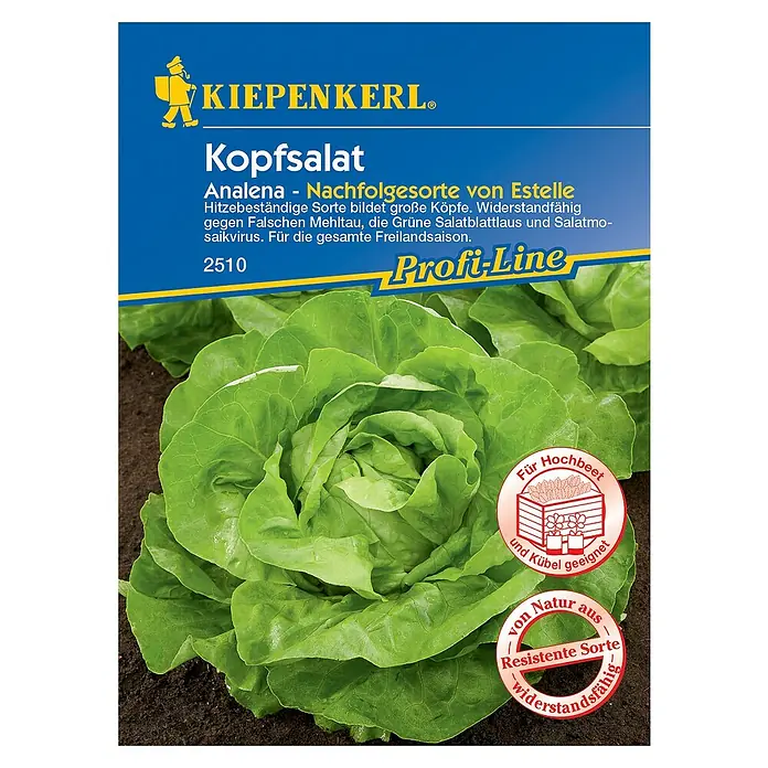 Kiepenkerl Profi-Line Salatsamen Kopfsalat - Lactuca sativa var. capitata, Erntezeit: Mai - Abbildung des Kiepenkerl Kopfsalat Analena Saatguts. Die Analena ist eine hitzebeständige Sorte und für die gesamte Freilandsaison geeignet.