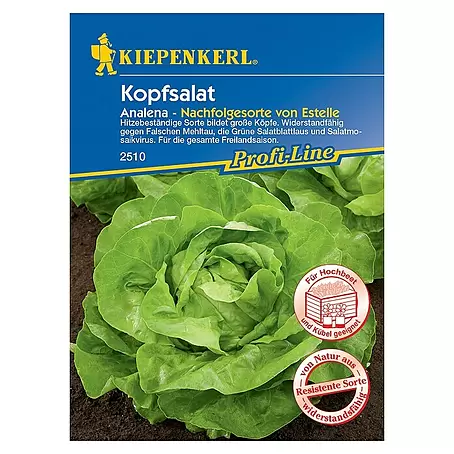 Kiepenkerl Profi-Line Salatsamen Kopfsalat