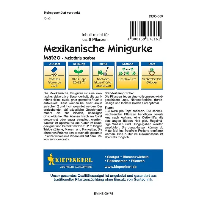 Kiepenkerl Profi-Line Gemüsesamen Mexikanische Minigurke - Melothria scabra, Erntezeit: September - Abbildung der Verpackung für Mexikanische Minigurke 'Mateo', Melothria scabra, mit Anbauhinweisen und dem Kiepenkerl Logo.