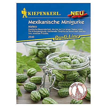 Kiepenkerl Profi-Line Gemüsesamen Mexikanische Minigurke (Melothria scabra, Erntezeit: September)