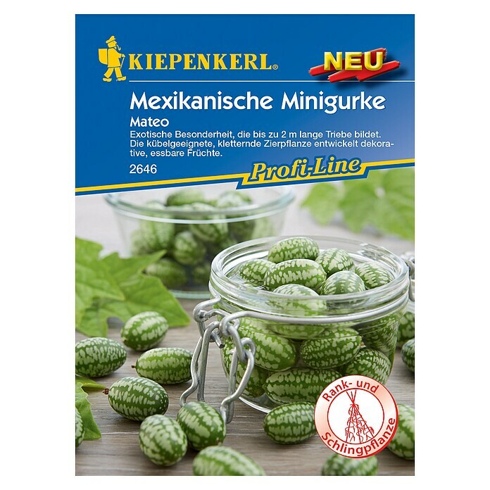 Kiepenkerl Profi-Line Gemüsesamen Mexikanische MinigurkeMelothria scabra, Erntezeit: September - Oktober Front View