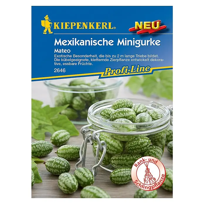 Kiepenkerl Profi-Line Gemüsesamen Mexikanische MinigurkeMelothria scabra, Erntezeit: September - Bild einer Samenpackung für "Mexikanische Minigurke Mateo" von Kiepenkerl, einer exotischen, kletternden Zierpflanze mit essbaren Früchten.