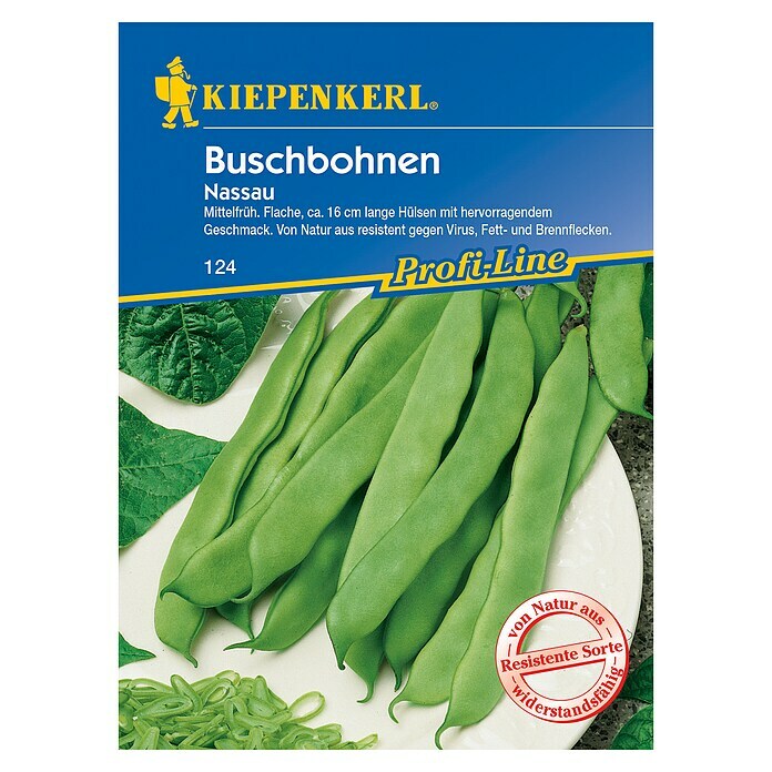 Kiepenkerl Profi-Line Gemüsesamen Buschbohne (Nassau, Phaseolus vulgaris var. nanus, Erntezeit: Juli)