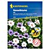 Kiepenkerl Profi-Line Blumensamen Rasselblume 