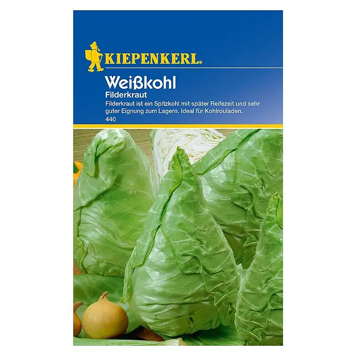 Kiepenkerl Gemüsesamen Weißkohl - Brassica oleracea var. capitata f. alba, Erntezeit: September - Das Bild zeigt Weißkohl Filderkraut Samen von Kiepenkerl. Spitzkohl mit später Reifezeit, ideal zum Lagern und für Kohlrouladen.