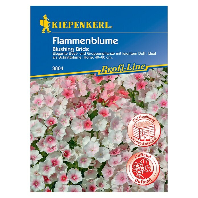 Kiepenkerl Profi-Line Blumensamen Flammenblume (Phlox drummondii) | BAUHAUS